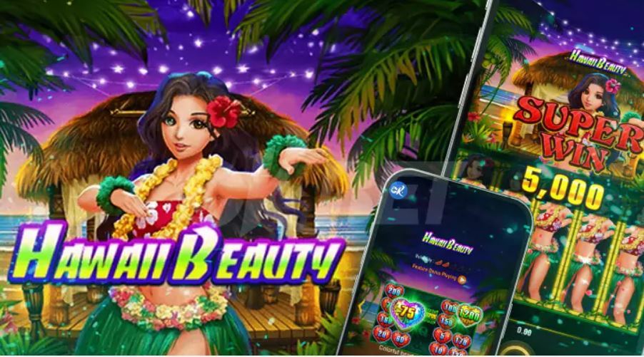 Hawaii Beauty gameplay screenshot