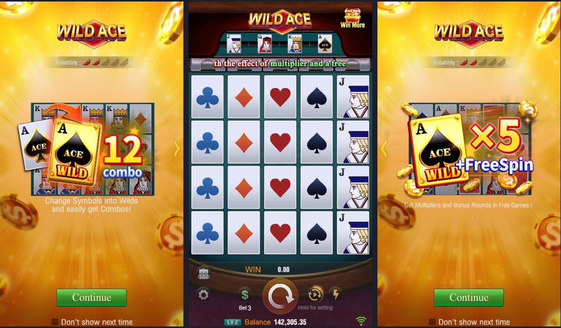 Wild Ace gameplay screenshot